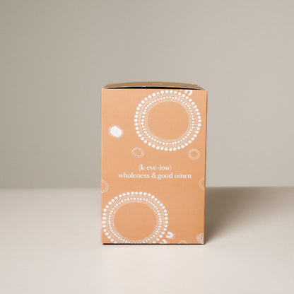 Plant Well (Protein Super Blend) - Vanilla Chai 14-day x 30g Pack